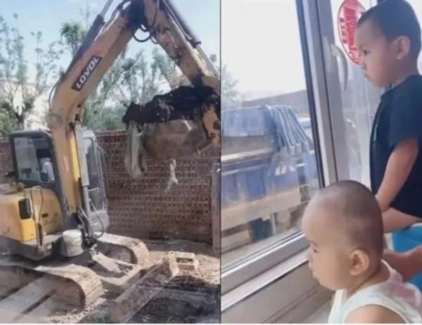 孩子痴迷挖掘機,背後是有原因的,家有喜歡挖掘機娃的家長要知道 孩子痴迷挖掘機,背後是有原因的,家有喜歡挖掘機娃的家長要知道