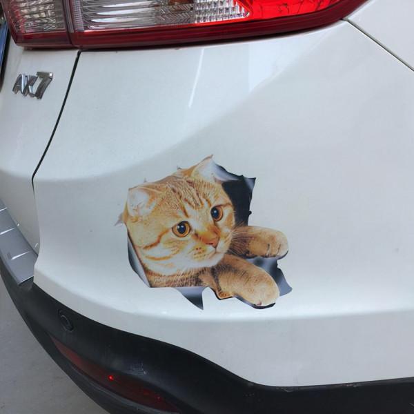 這4個違章行為,將不再扣駕照分,有駕照的瞭解一下 這4個違章行為,將不再扣駕照分,有駕照的瞭解一下