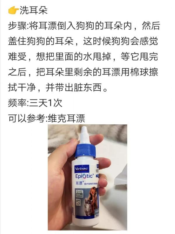 多年養狗人告訴你：這樣養狗才正確