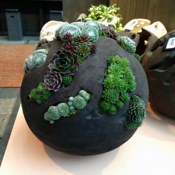 球形花盆怎麼做？