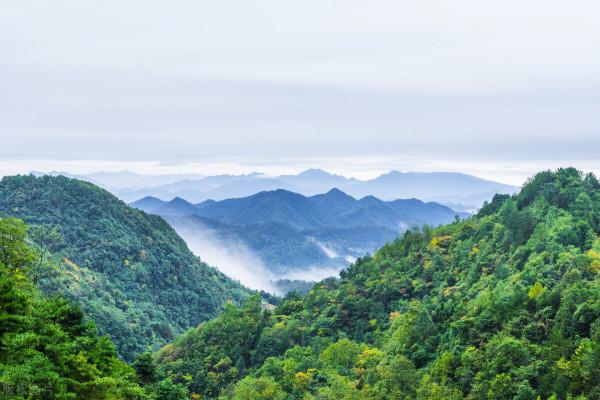 趣聞:泥石流衝翻礦車,司機爬樹求生,泥石流中救出一女子成女友 趣聞:泥石流衝翻礦車,司機爬樹求生,泥石流中救出一女子成女友