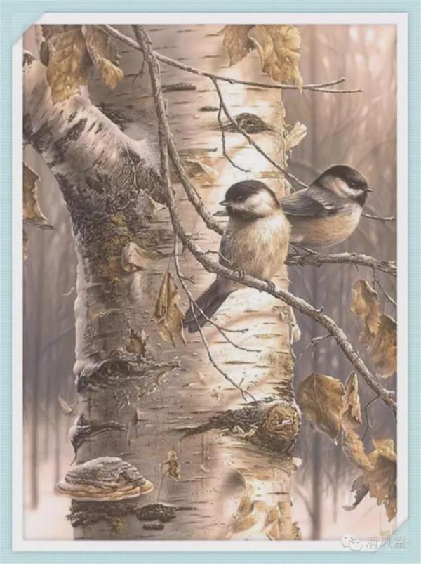 加拿大繪畫:野生動物的描繪 加拿大繪畫:野生動物的描繪