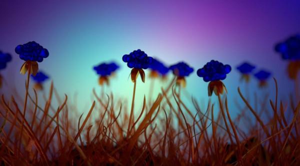 能獨處，不輕易合群的星座，真正的成熟，是獨立，是泰然自若