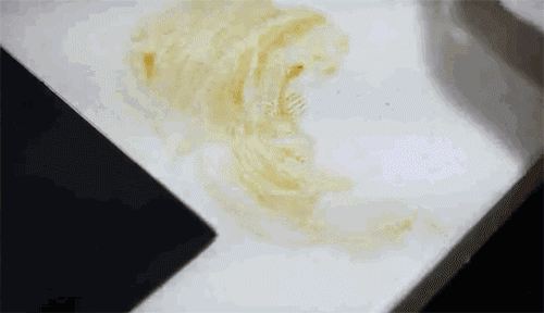 我堅持買的7樣家居好物，父母開始不理解，最後難逃&OpenCurlyDoubleQuote;真香定律&rdquo;