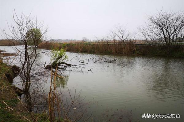 冬季釣魚,找準魚窩的3個步驟,在魚群裡下竿,大鯽一釣一個準 冬季釣魚,找準魚窩的3個步驟,在魚群裡下竿,大鯽一釣一個準