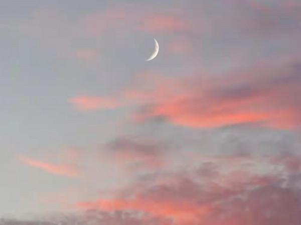 小孩子的詩，治癒了大人......