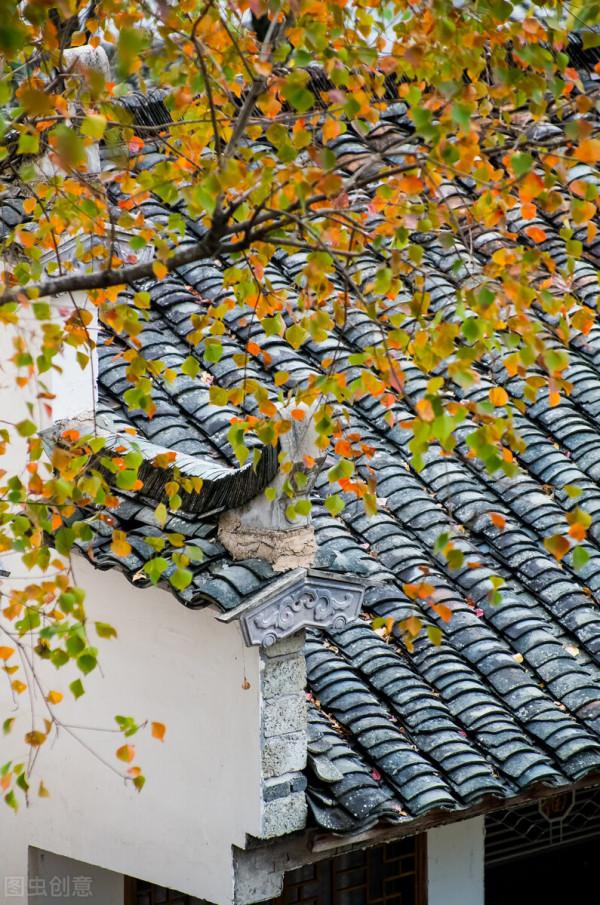 安徽又又又又又紅了 安徽又又又又又紅了