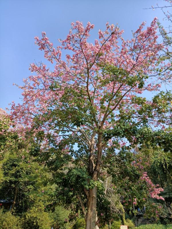 頂漂數次皆不中，精彩的瞬間是三抄網