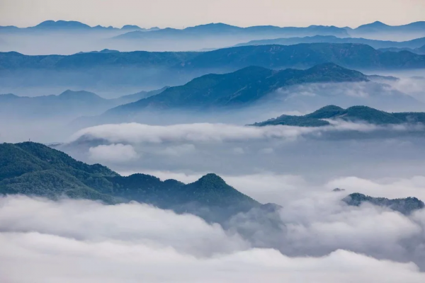您有一封來自山東的邀請函，請查收！