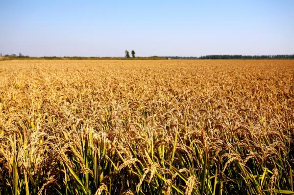 走!帶你去看看古人眼裡的中國! 走!帶你去看看古人眼裡的中國!