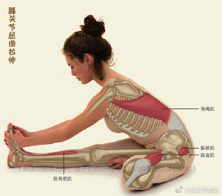 6個瑜伽動作緩解一天疲憊