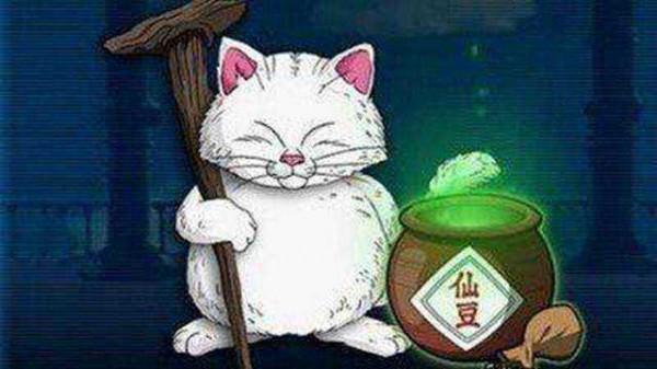 悟飯打沙魯時重傷，要是吃了剛吞仙豆的雅木茶，可用恢復麼？