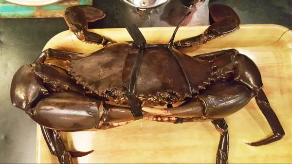 10年深度+豪華遊玩60國