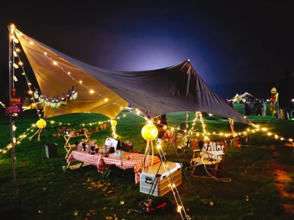 那些又熬過一年的旅行社從業者們