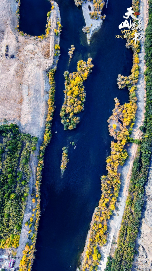 胡楊金、豐收紅、秋實橙……秋日新疆的這些色號,你pick了嗎? 胡楊金、豐收紅、秋實橙……秋日新疆的這些色號,你pick了嗎?