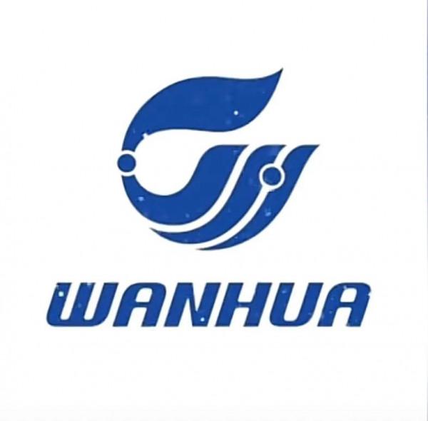 花2小時整理了10只A股中在全球排名第一的中國公司