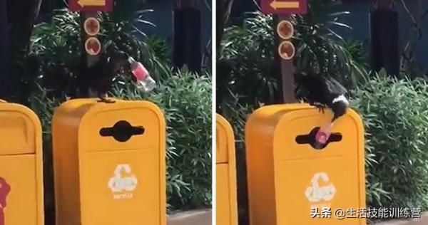 35張圖片帶我們領略大自然的狂野和美麗 35張圖片帶我們領略大自然的狂野和美麗