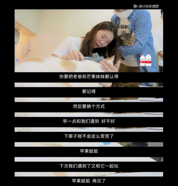 歐陽娜娜連辦3場葬禮哭上熱搜!網友破防了:這樣的告別我沒想過 歐陽娜娜連辦3場葬禮哭上熱搜!網友破防了:這樣的告別我沒想過