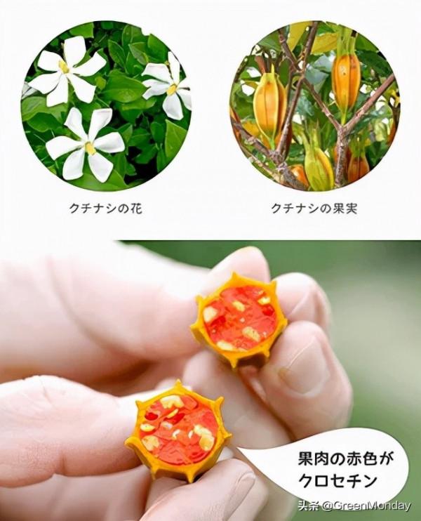 薄薄一片，就能“一睡不起”？你信嗎