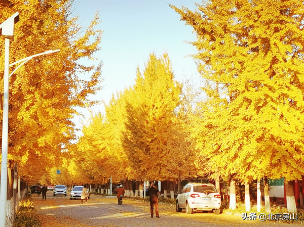 房山這個現代化新農村，有一處“藏著”很多故事的展覽館！
