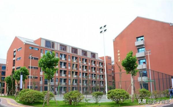 四川:一學校不讓學生帶牛奶進校,事後校長被查,名下有15家公司 四川:一學校不讓學生帶牛奶進校,事後校長被查,名下有15家公司