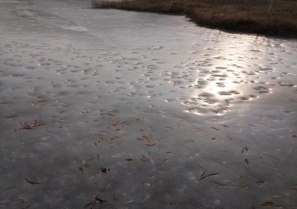 新年，很開心的一天