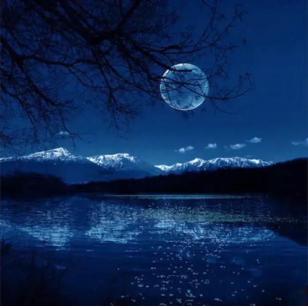 沒有月餅的中秋節