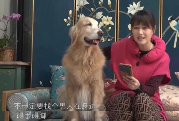 他們都定居內地了 他們都定居內地了