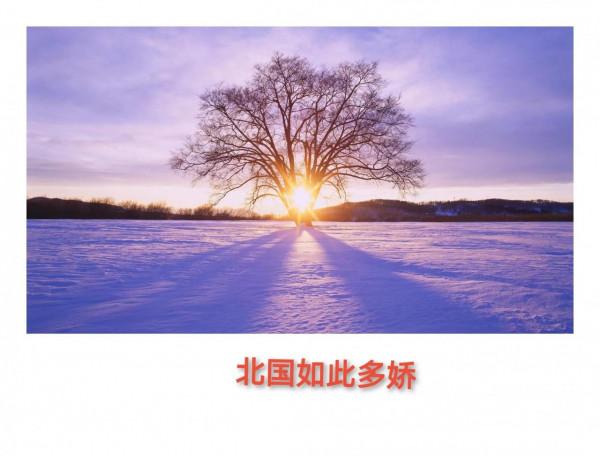 司馬南出生於東北，東北的雪景實在是美