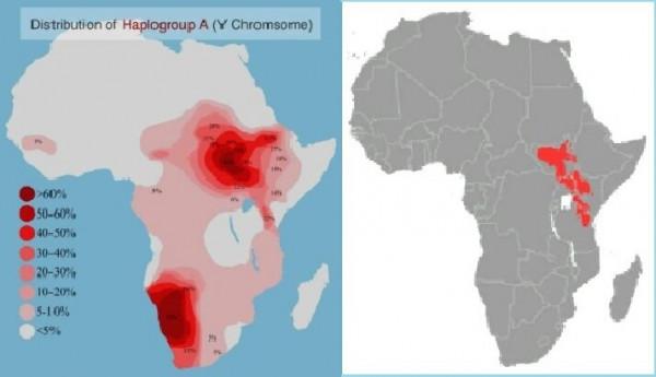 為什麼尼羅河人是世界上最高的人? 為什麼尼羅河人是世界上最高的人?