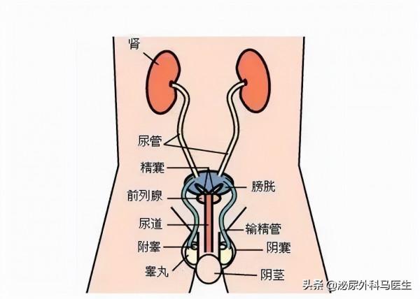 多發！上了年紀的人如果體檢中沒有，最好自費增加這些專案