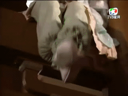 可能面臨“劉雪華困境”的女星，最大61歲最小46歲，都是大美人