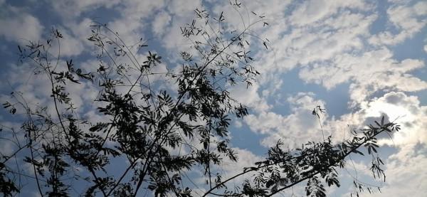 雲彩下的山城系列（九）