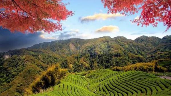 五彩斑斕的風景等你來