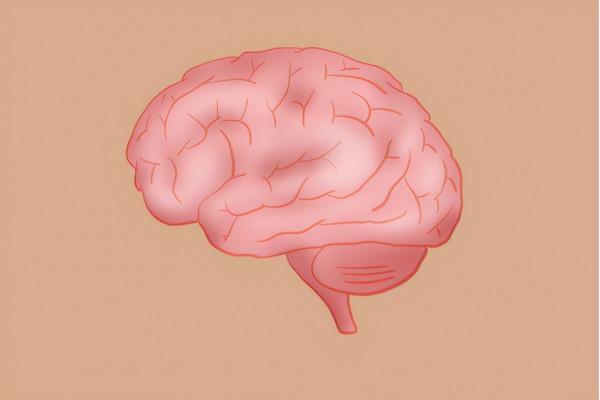 經常頭疼有可能是腦膠質瘤! 經常頭疼有可能是腦膠質瘤!