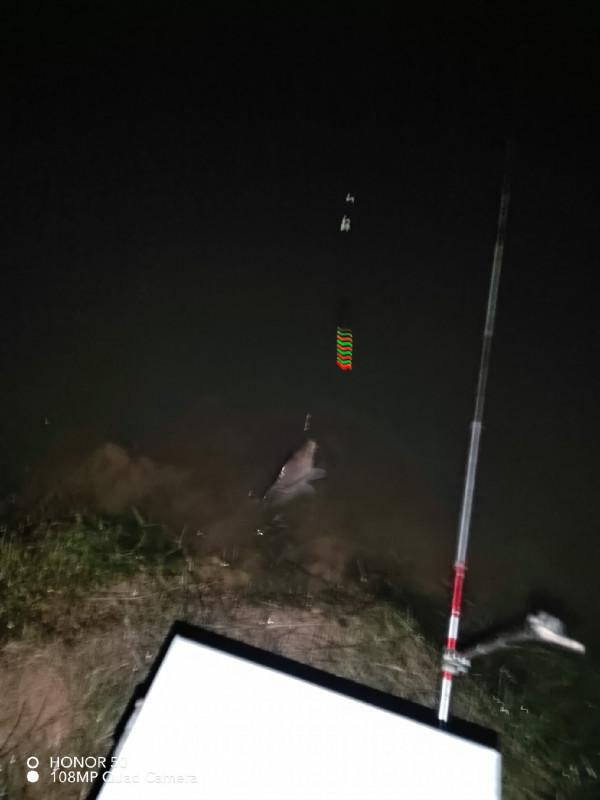 陪伴魚兒看煙花，期待新年的鐘聲