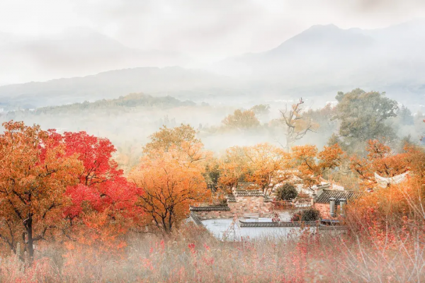 12月必去的7個古鎮,每一個都美到不想離開,閒了就去小住幾日吧 12月必去的7個古鎮,每一個都美到不想離開,閒了就去小住幾日吧