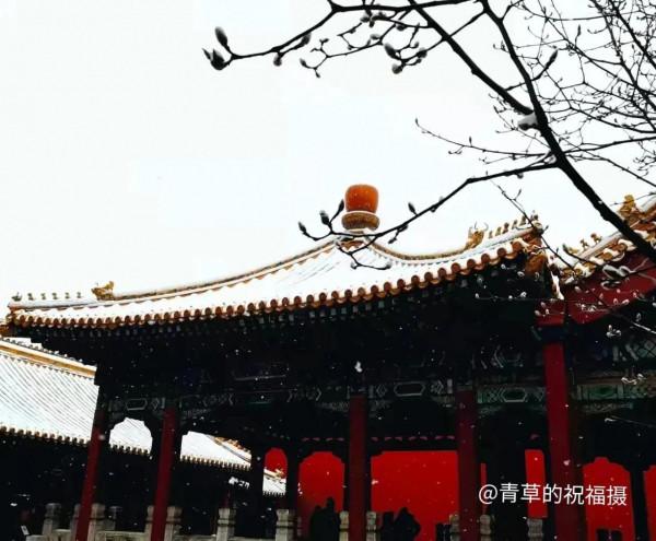 京城冬雪會作畫