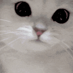 關曉彤要氣死了吧！不光被娜扎豔壓，還遭N個大美人拉踩···