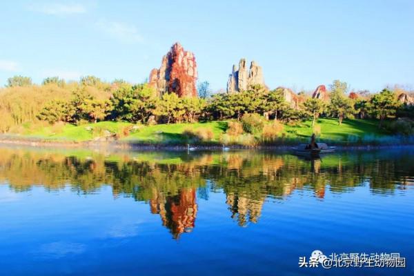 深秋時節，與動物相遇