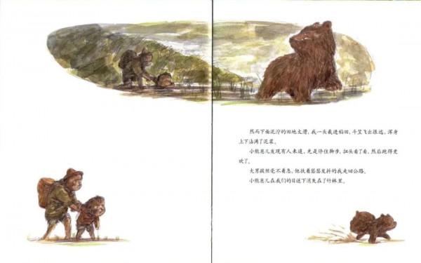 中國的“凱迪克”大獎又頒獎了，這些優秀，精良的國產繪本要推進