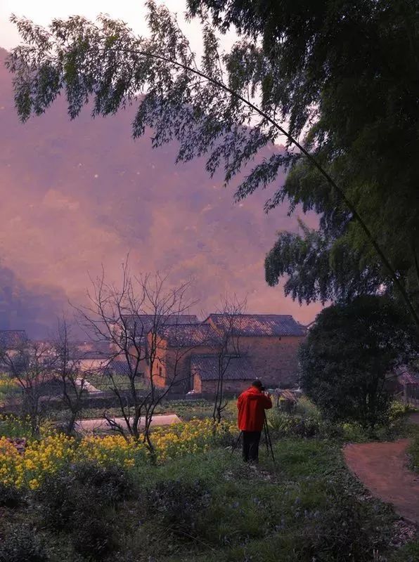 全國賞春花時間表出爐！你的家鄉上榜了嗎？