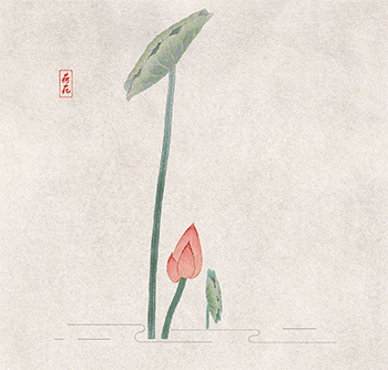 遵循這3條原則,能讓你越活越輕鬆 遵循這3條原則,能讓你越活越輕鬆