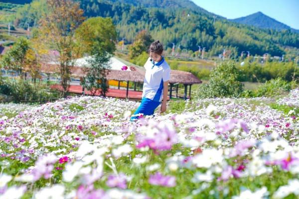 2021年最後一波!格桑花海來襲,古田花海歡樂谷8大歡樂專案等你來打卡!! 2021年最後一波!格桑花海來襲,古田花海歡樂谷8大歡樂專案等你來打卡!!