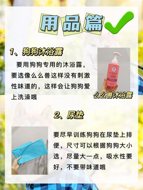 狗狗容易生病的原因，竟然是因為沒有注意這些