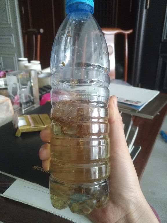 菸絲在啤酒裡泡一天，5天給花喝一勺，安全殺蟲無汙染