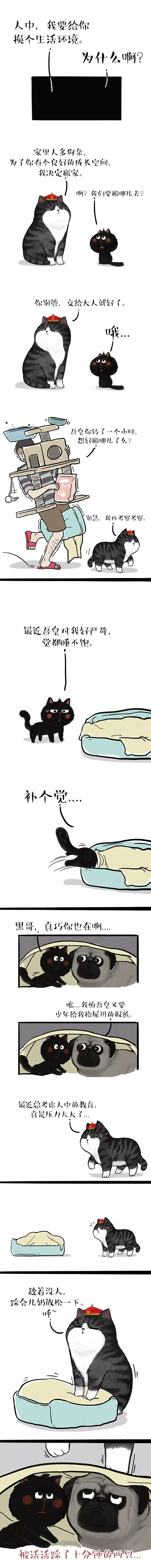 什麼是成長的煩惱？就是你成長了，你的家長煩惱了（漫畫）