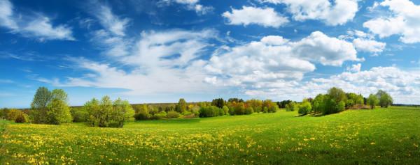 人生修為：遭受挫折者，貴在不忘初心；功成名遂者，貴在慎終如始