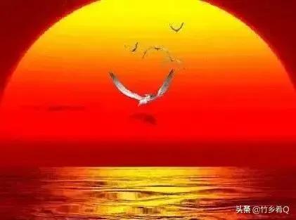 下輩子我就這麼活