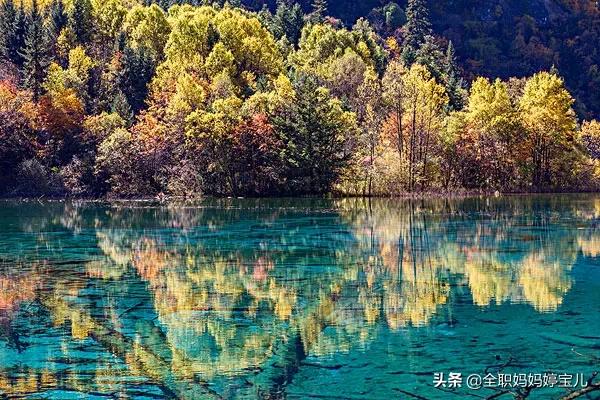 分享——令人迷幻的九寨溝